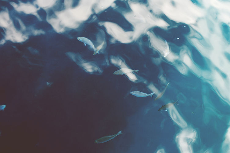 Ocean Water