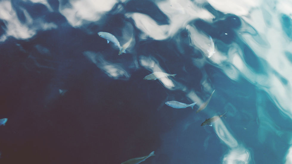 Ocean Water