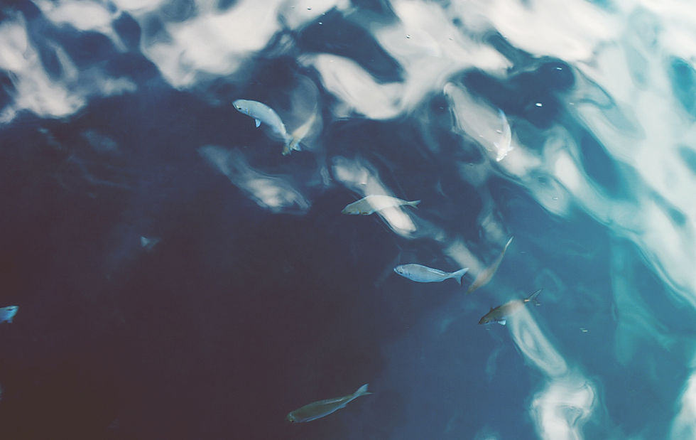 Ocean Water