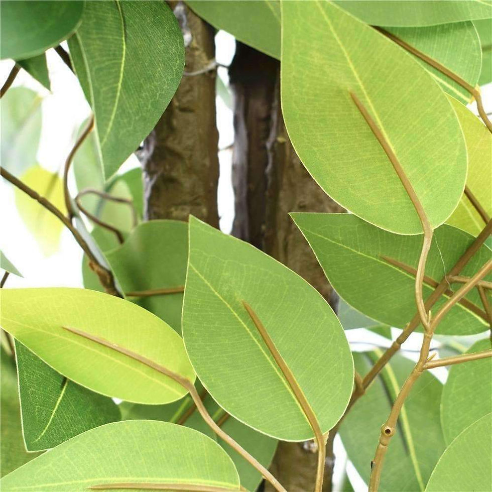 Thumbnail: Bushy Artificial Ficus Tree 140cm - Dark Trunk