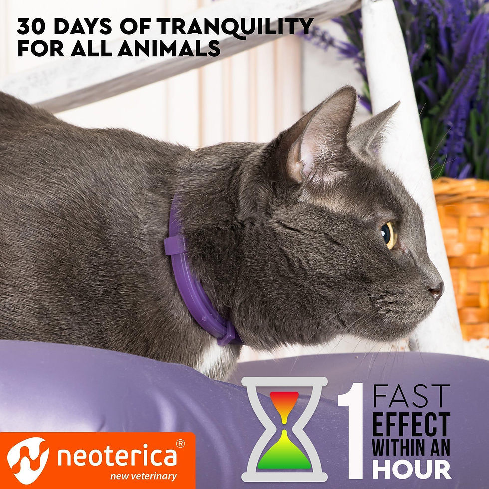Thumbnail: Cat Calming Collar Pet Anti Anxiety Products Feline Calm Pheromones Collars 1 Pc