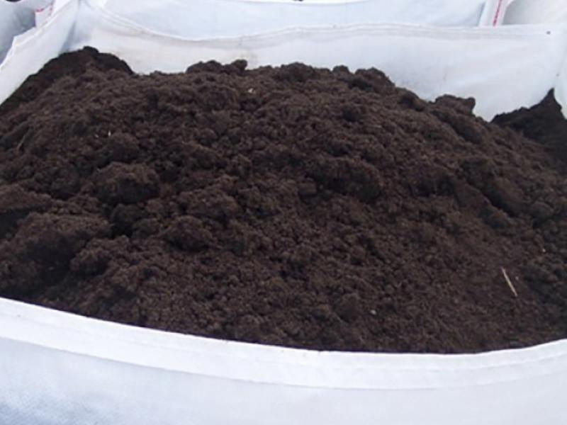 Terra Preta Adubada