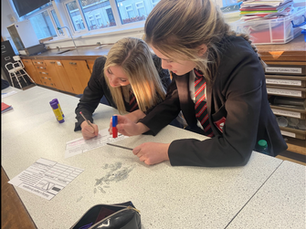 Year 8 Magnetism Practical