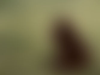 2022年2月スケジュール