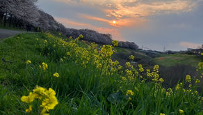 2026年5月クラススケジュール