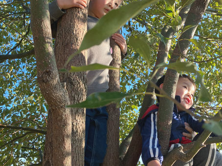 2023年3月クラススケジュール