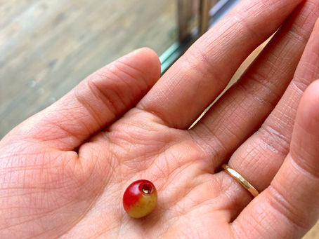 2021年6月スケジュール