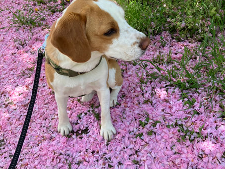 2023年5月クラススケジュール