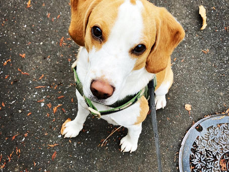 クラス中のマスク着用について