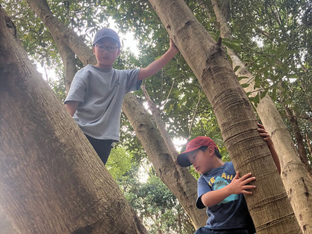 2026年3月クラススケジュール