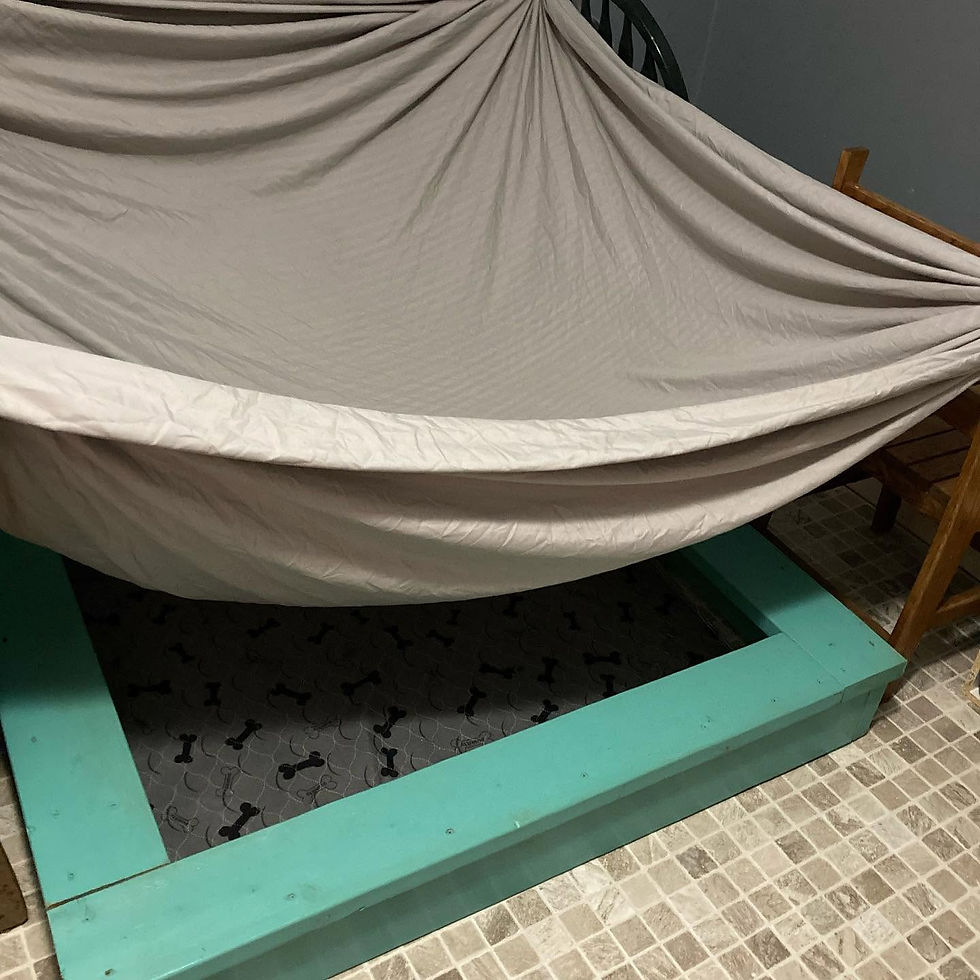 makeshift tent over a dog whelping box to create a quite, safe spot for Mama to welcome her puppies