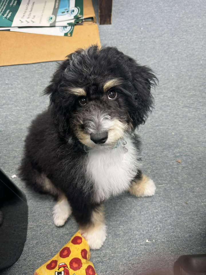 Murphy