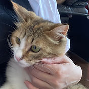 IMG_6156 2_edited.jpg