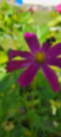 20240917_132201.jpg