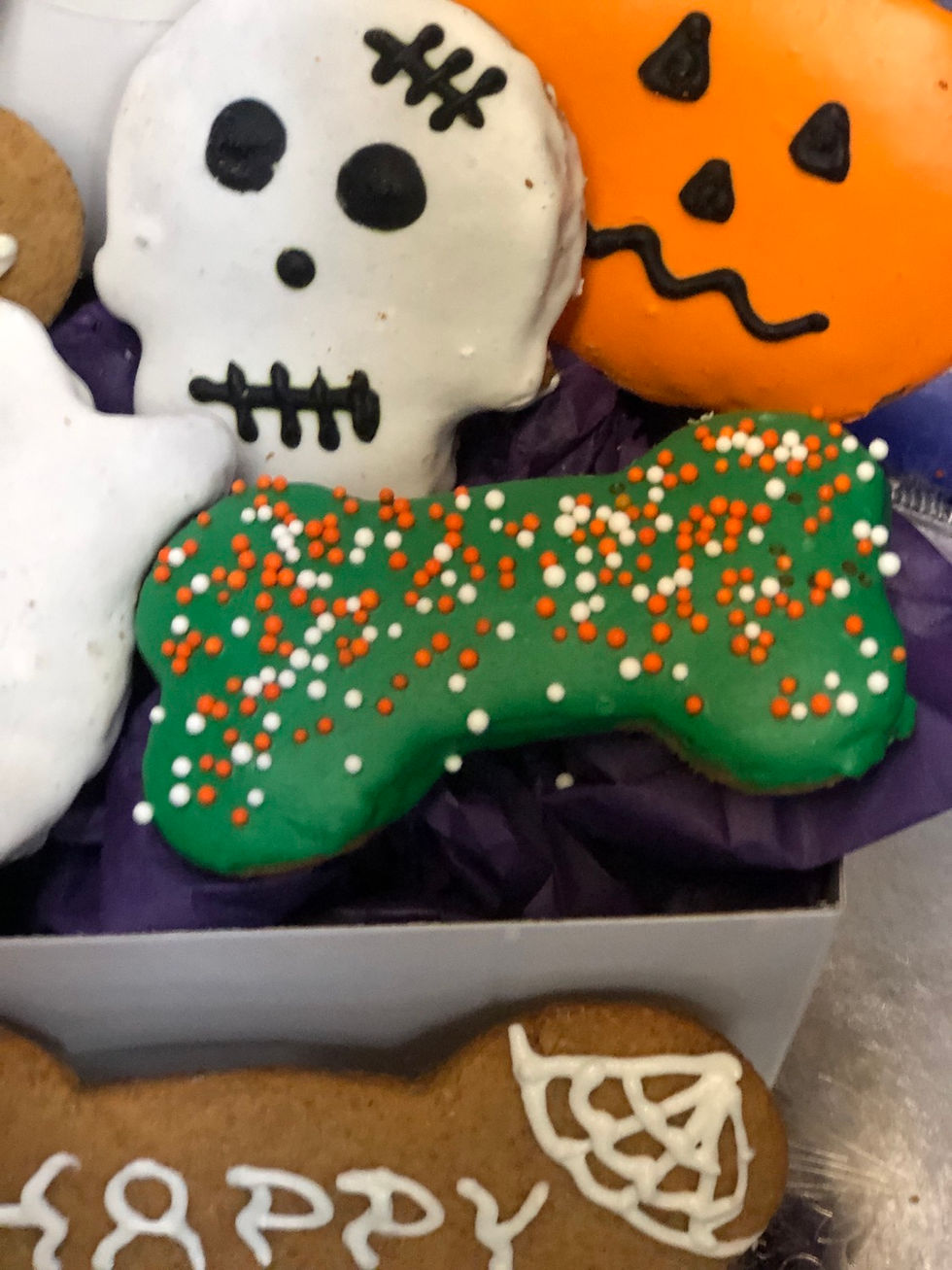 Thumbnail: Large Halloween Party Pup box