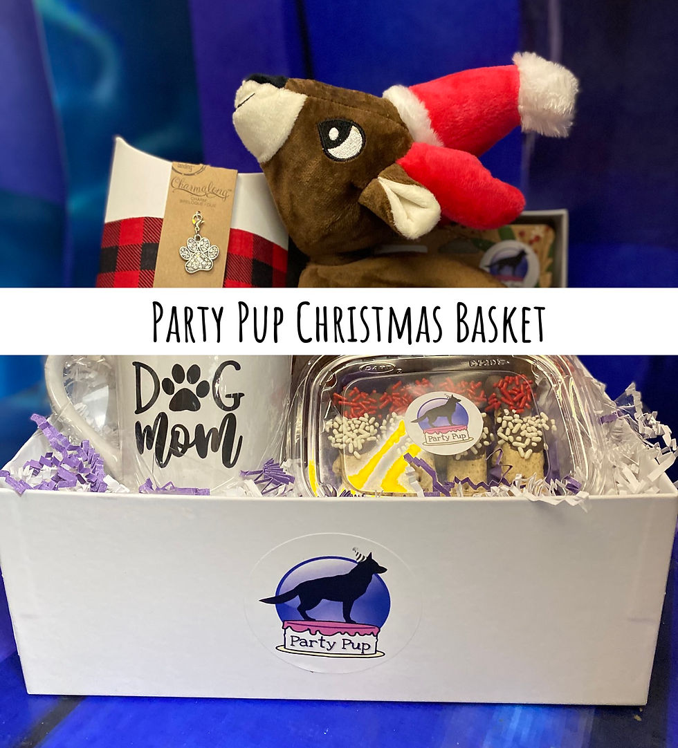 Party Pup Christmas Basket