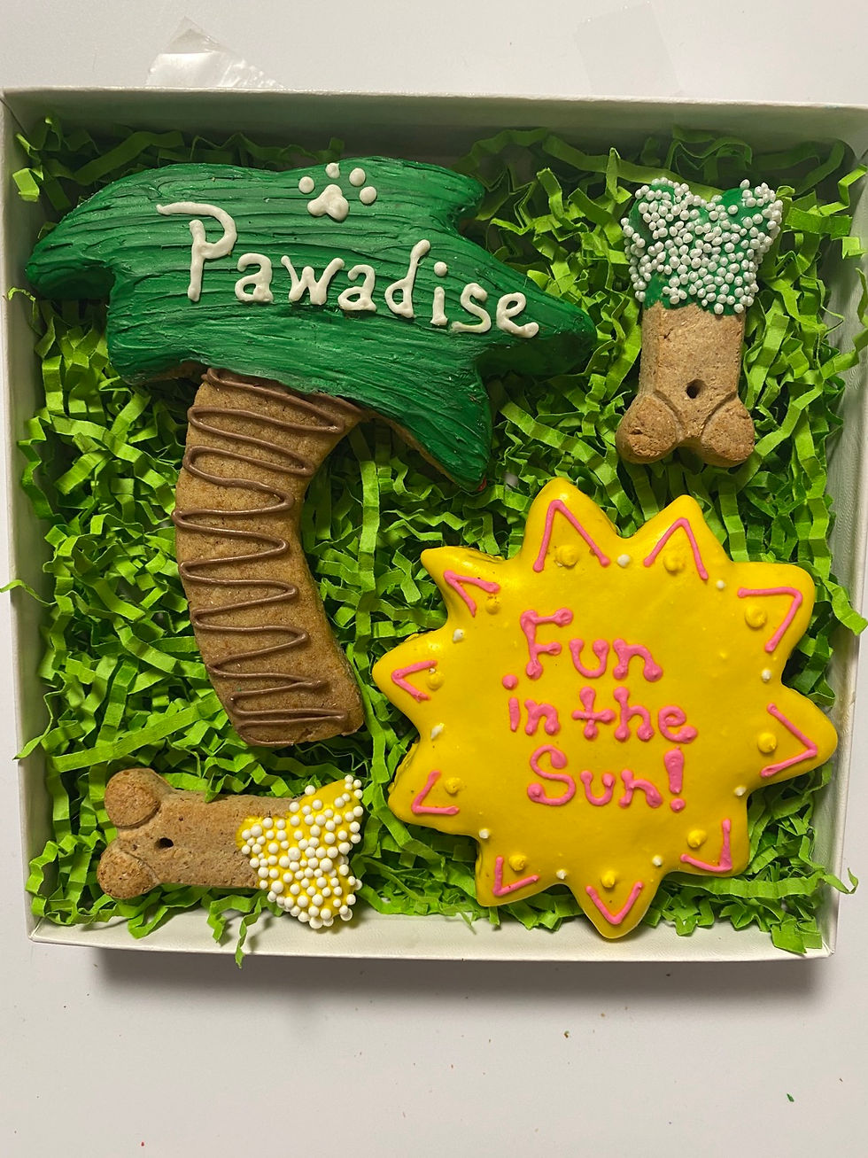 Thumbnail: Fun In The Sun Party Pup Box 