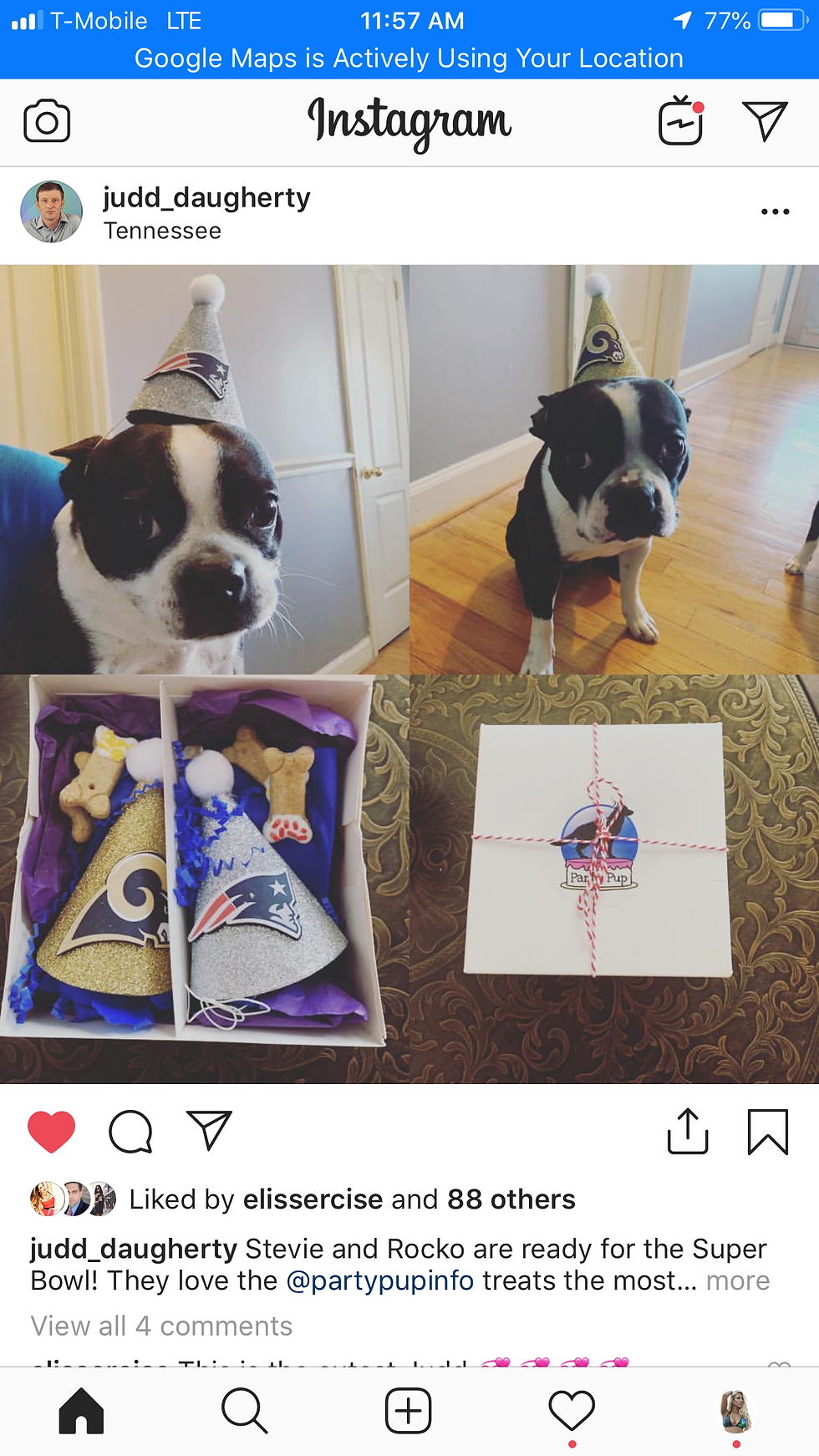 Thumbnail: Football Theme Party Pup Box