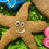 Thumbnail: Summer Time Party Pup Box