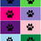 Thumbnail: Party Pup Plates