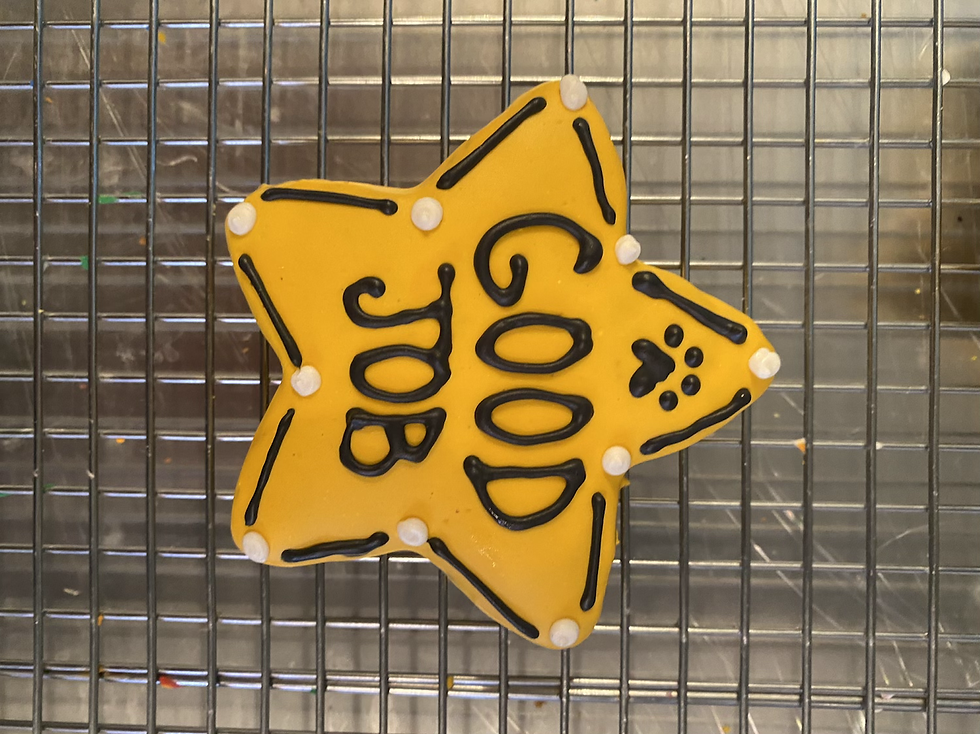 Thumbnail: Bark to school 