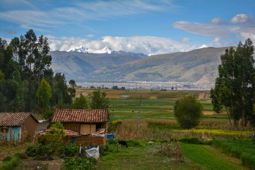 DSC_2603.jpg