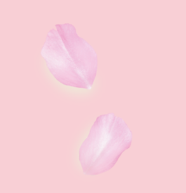New Project (1).png