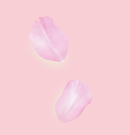 New Project (1).png