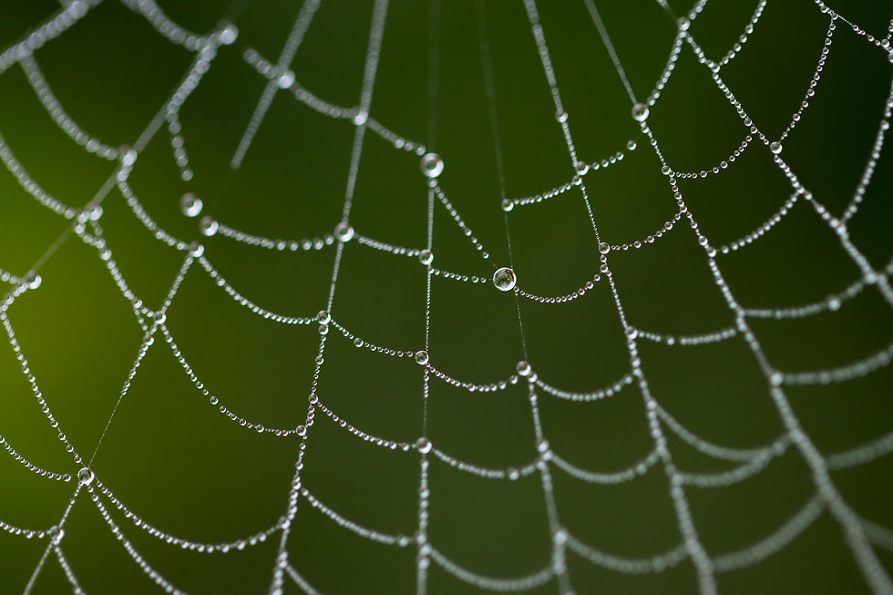 Thumbnail: 2026 Calendar - Visions of Paradise