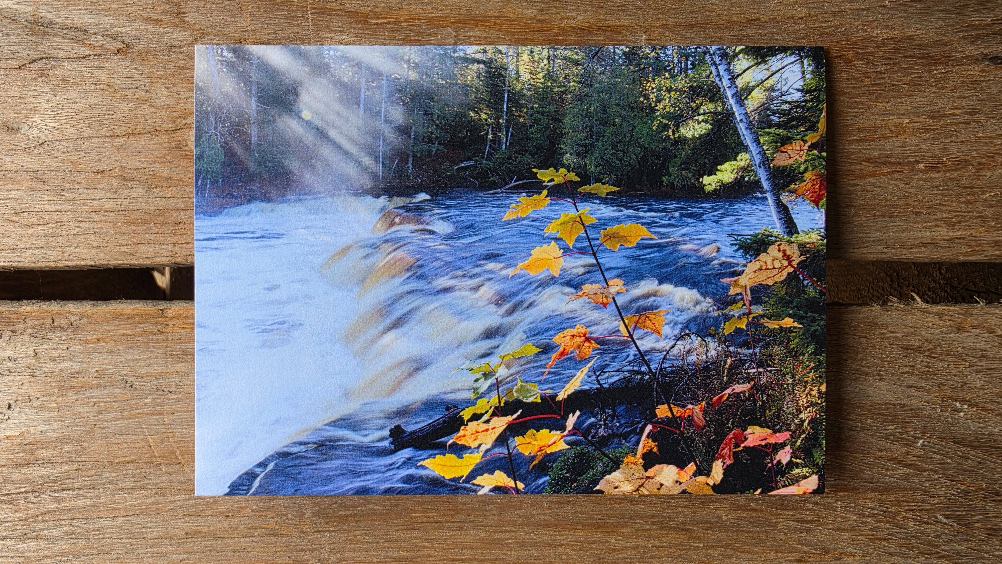 Blank Card - Lower Tahquamenon Falls