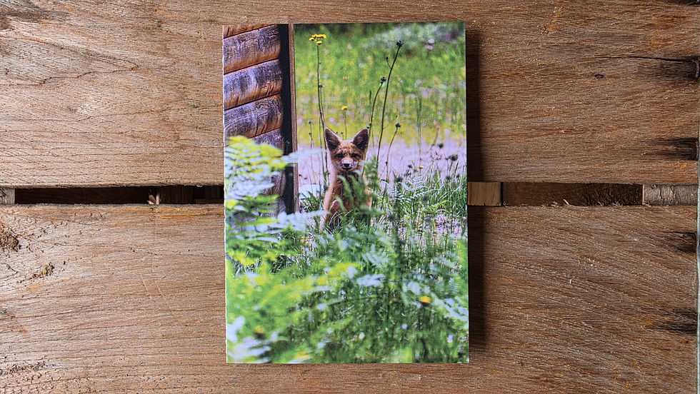 Thumbnail: Blank Card - Fox Kit 