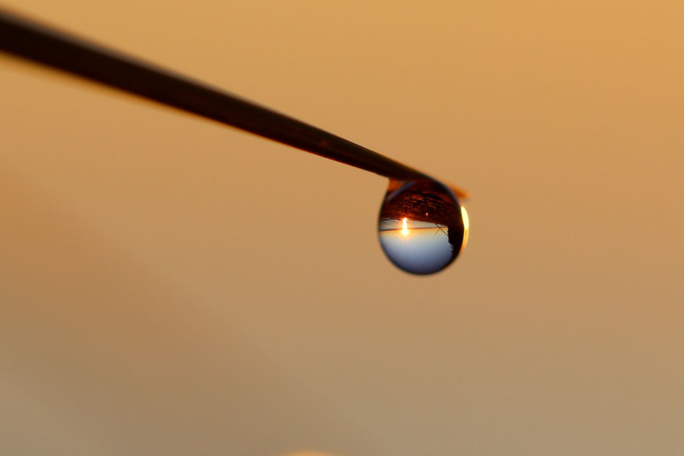 Thumbnail: 5 x 7 Print - Dew Drop Sunrise 