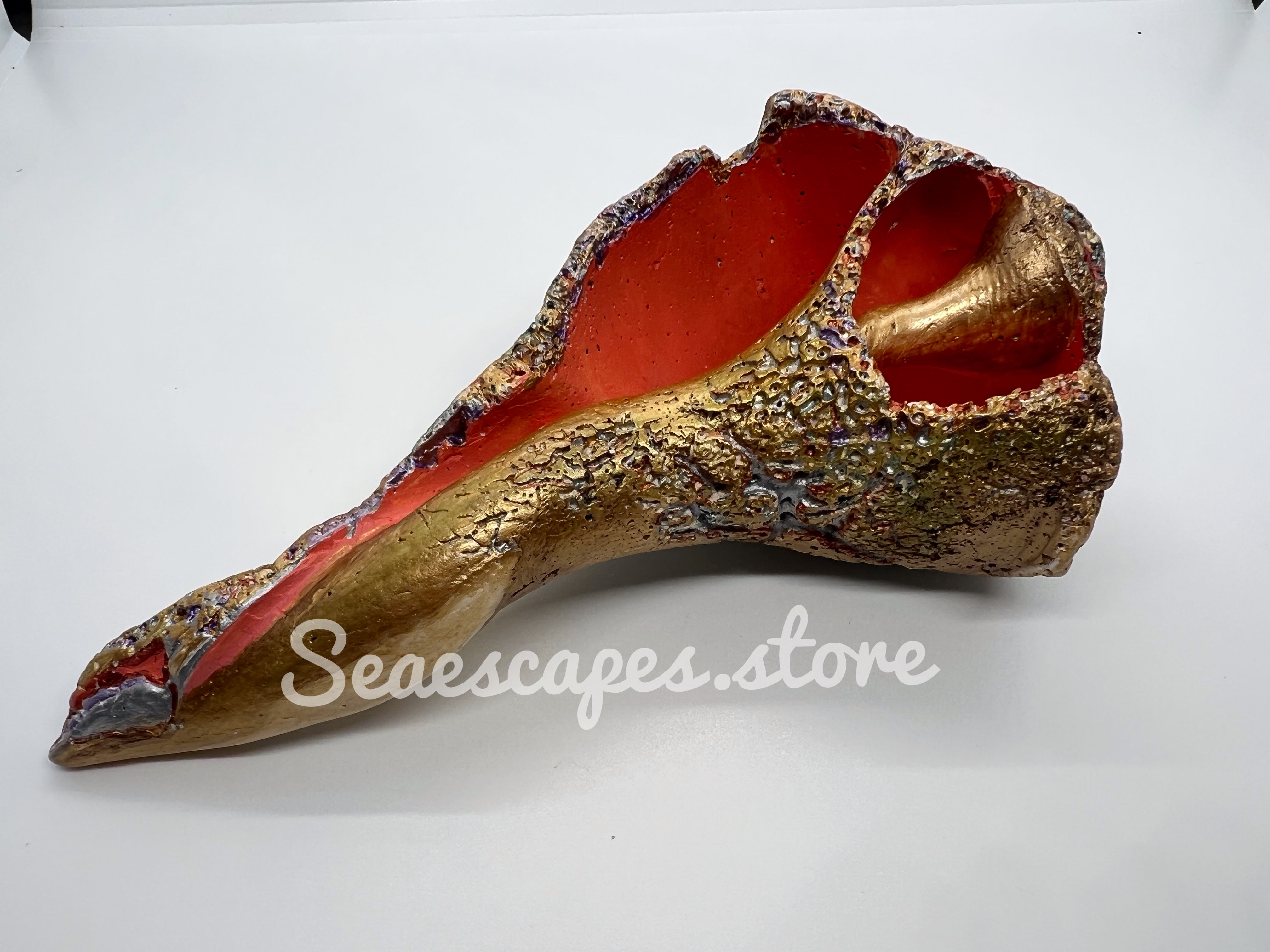 Ancient Gold Lightening Whelk