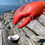 Thumbnail: “Claw Hanger” card set of 5 different images