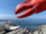 Thumbnail: “Beyond the Shadow of a Claw” card set of 5 different images