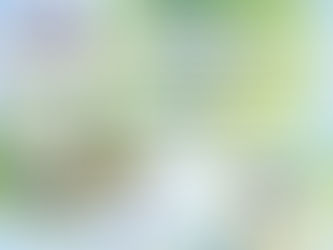 High Blood Pressure and NissTex