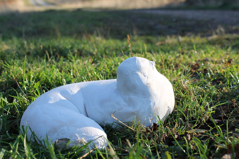 Blob 2014