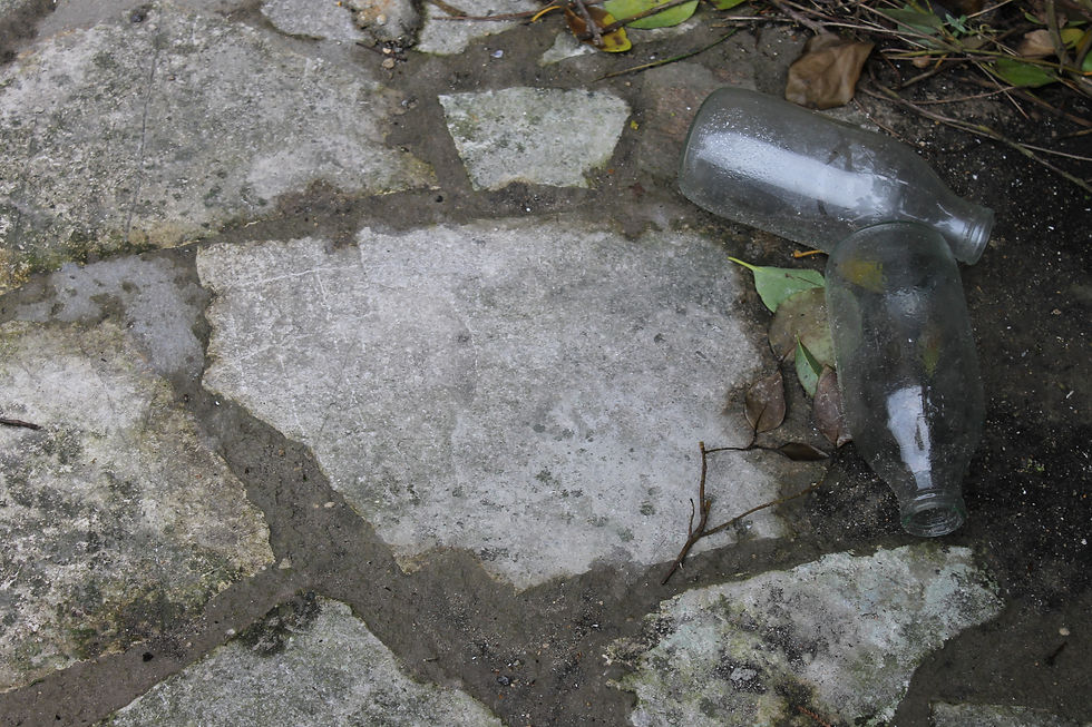 Milk bottles 2013