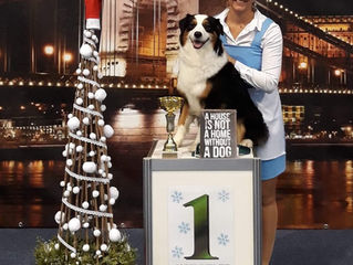 FS1 1st place & Hungarian Champion for Meredith