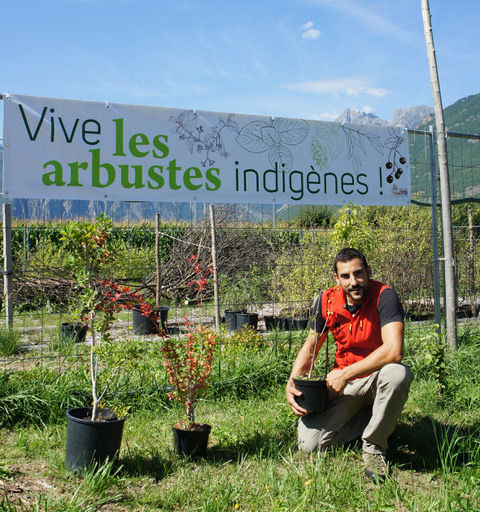 Entrée de la pépinière avec une banderole "Vives les arbres et arbustes indigènes"