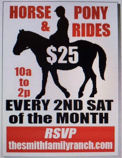 Pony and Horseback Riding