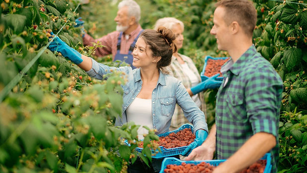 Five steps to Farm Succession Planning