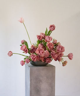 TULIPA_APR26_MS.S-16.jpg