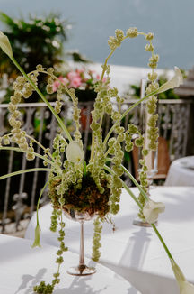 C+A-LAKECOMO-Sneakpeek_millifoto_wedding-481.jpg