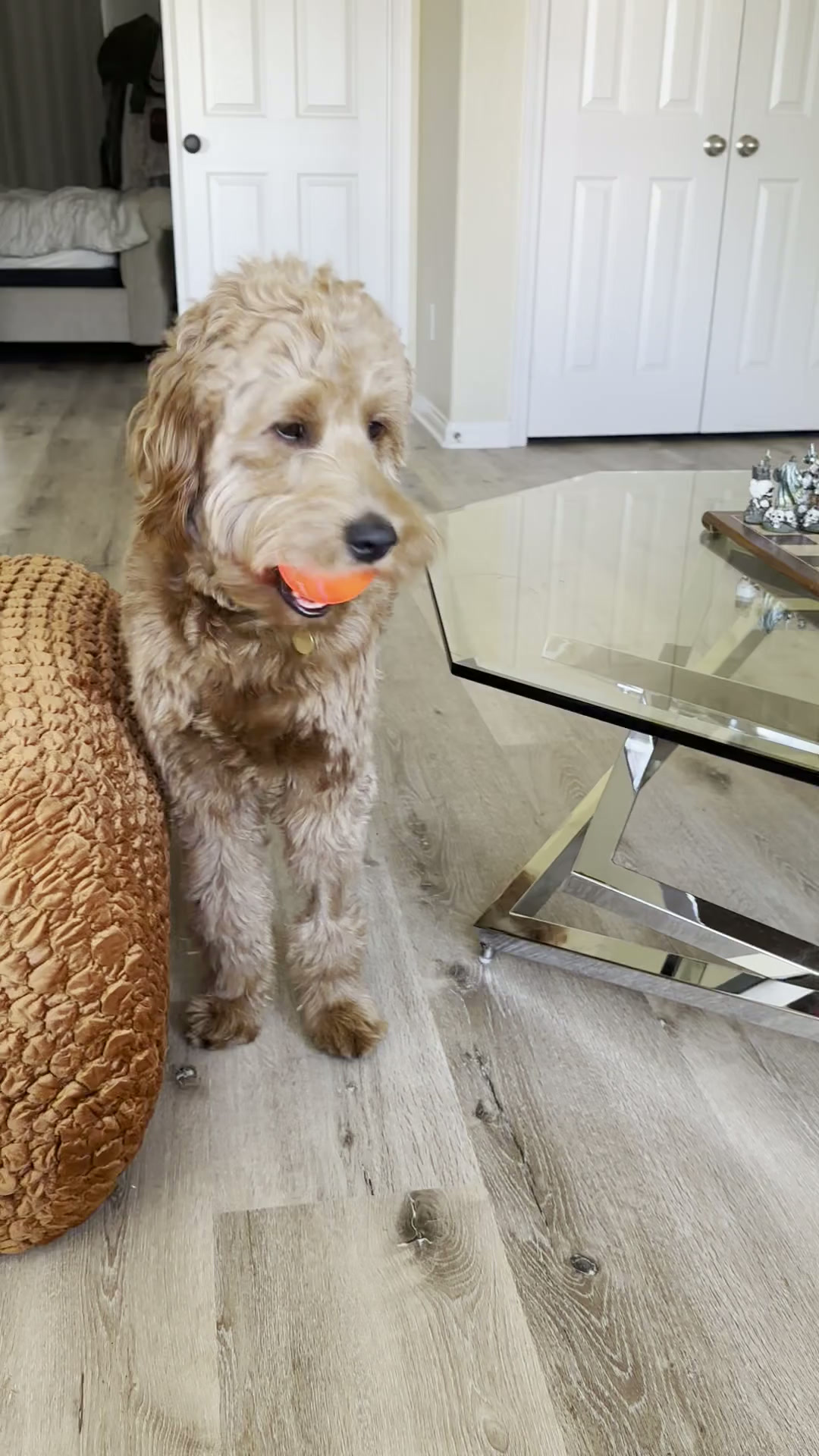Cooper, Wake County, NC