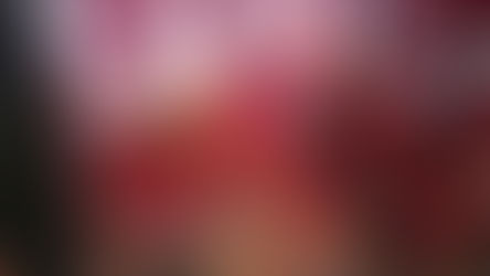 「ウエルネス@タイムス」第52号 ヘッドライン