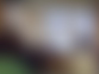 梨本宮記念財団の真実　先祖の遺徳について　　　　無名ジャーナリストの仕事