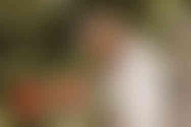 Bride admiring poppy flowers in Ørstedsparken in Copenhagen