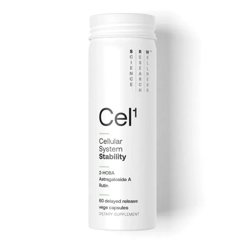 Thumbnail: CEL1 - Stability