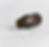 Thumbnail: CALMWISE™ SERUM